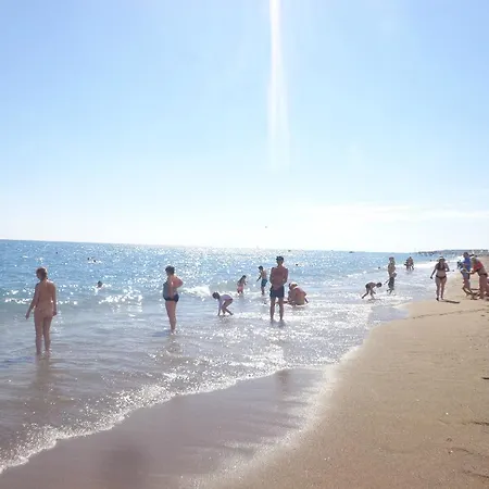 リゾート & River & シダ